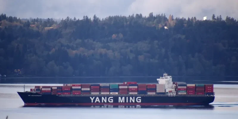 YM MOVEMENT Container Ship IMO 9660011 photo 10