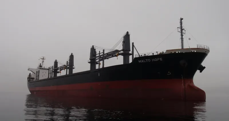 MALTO HOPE Bulk Carrier IMO 9660035