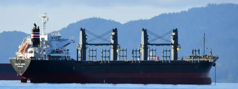 MALTO HOPE Bulk Carrier IMO 9660035 photo 2