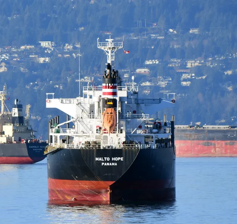 MALTO HOPE Bulk Carrier IMO 9660035 photo 3