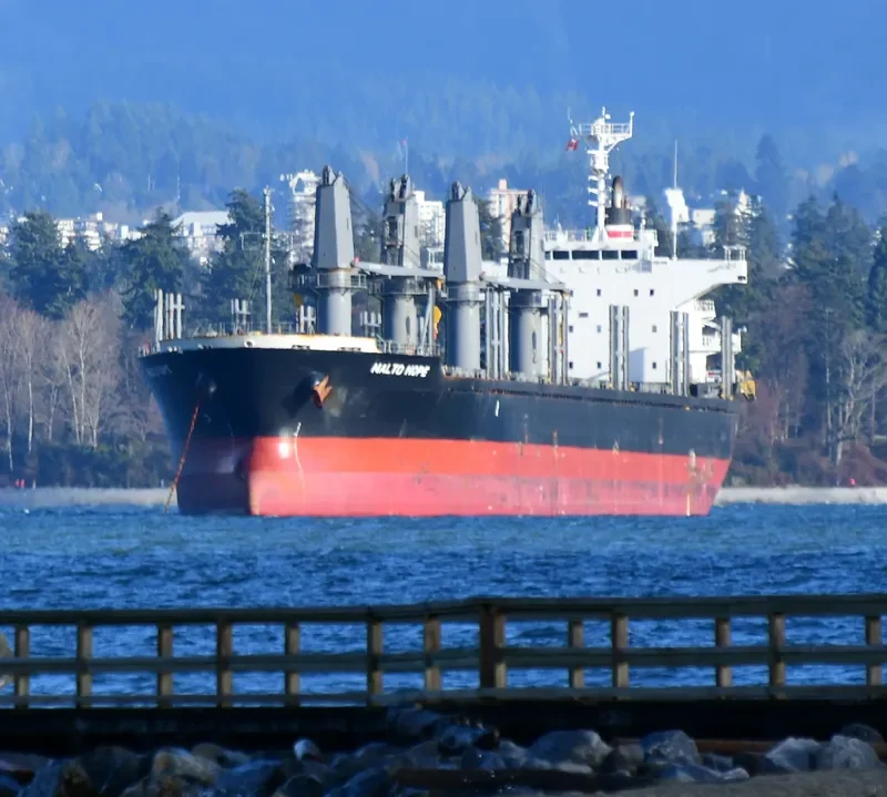MALTO HOPE Bulk Carrier IMO 9660035 photo 4