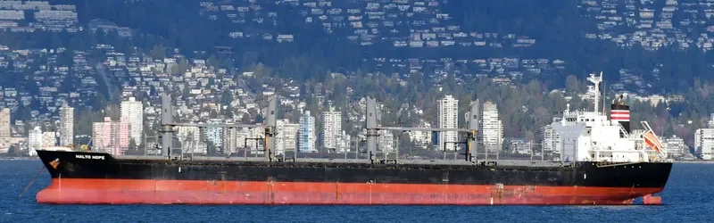 MALTO HOPE Bulk Carrier IMO 9660035 photo 5