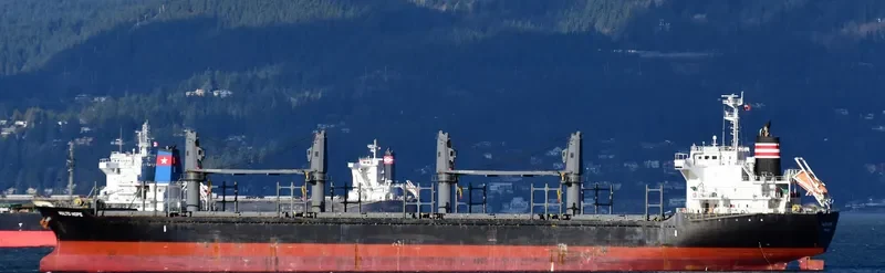 MALTO HOPE Bulk Carrier IMO 9660035 photo 6