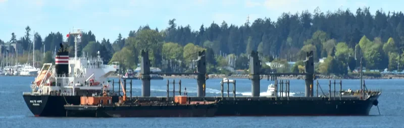 MALTO HOPE Bulk Carrier IMO 9660035 photo 7