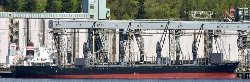 MALTO HOPE Bulk Carrier IMO 9660035 photo 9