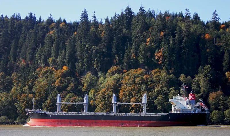 CARAVEL Bulk Carrier IMO 9660047