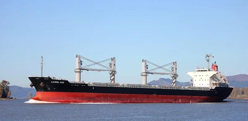 CARAVEL Bulk Carrier IMO 9660047 photo 2