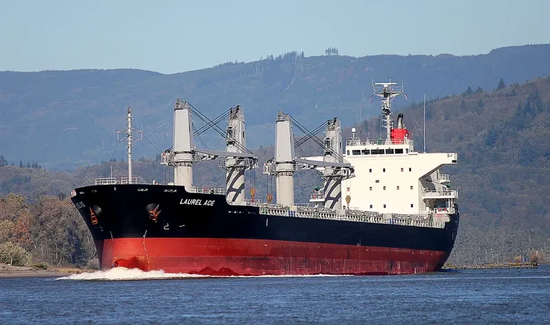 CARAVEL Bulk Carrier IMO 9660047 photo 3