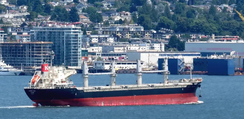 CARAVEL Bulk Carrier IMO 9660047 photo 4