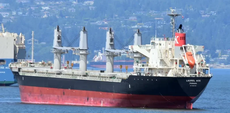 CARAVEL Bulk Carrier IMO 9660047 photo 5