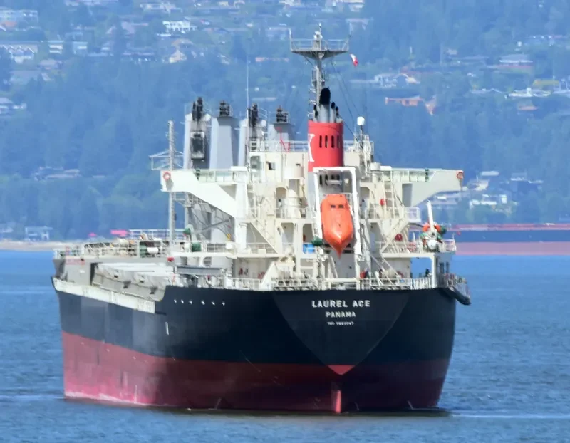 CARAVEL Bulk Carrier IMO 9660047 photo 6