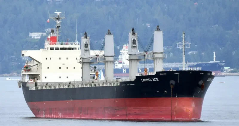 CARAVEL Bulk Carrier IMO 9660047 photo 7