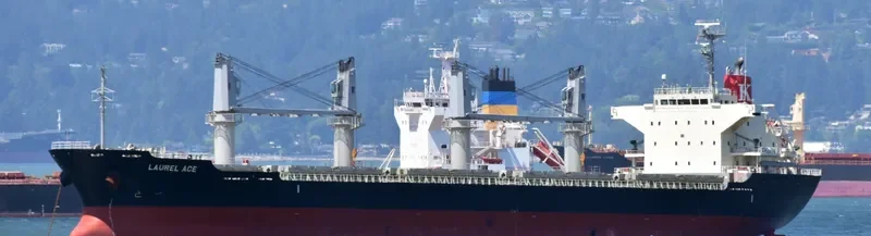 CARAVEL Bulk Carrier IMO 9660047 photo 9
