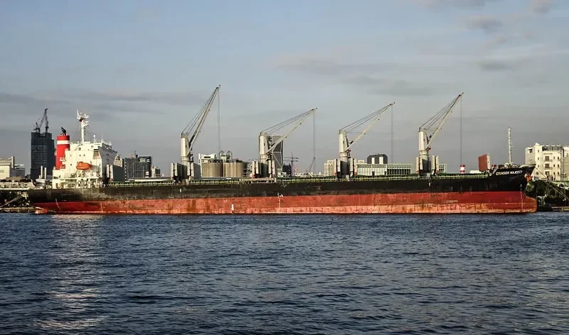 CRIMSON MAJESTY Bulk Carrier IMO 9660059 photo 3