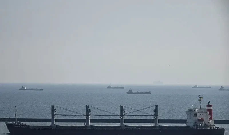 CRIMSON MAJESTY Bulk Carrier IMO 9660059 photo 4