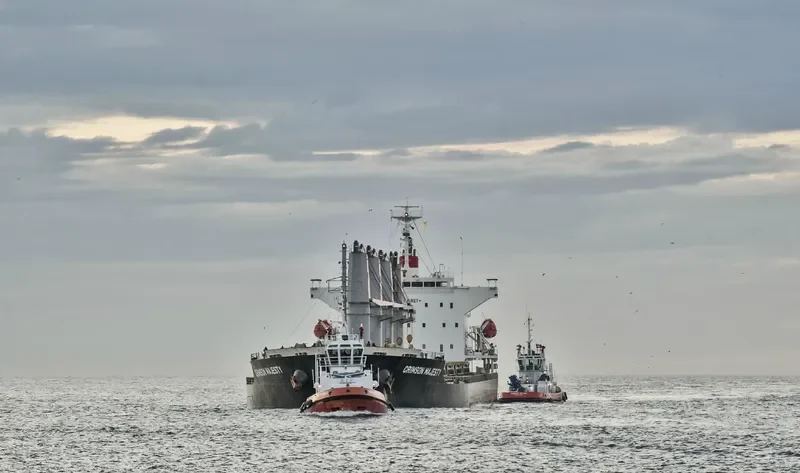 CRIMSON MAJESTY Bulk Carrier IMO 9660059 photo 5