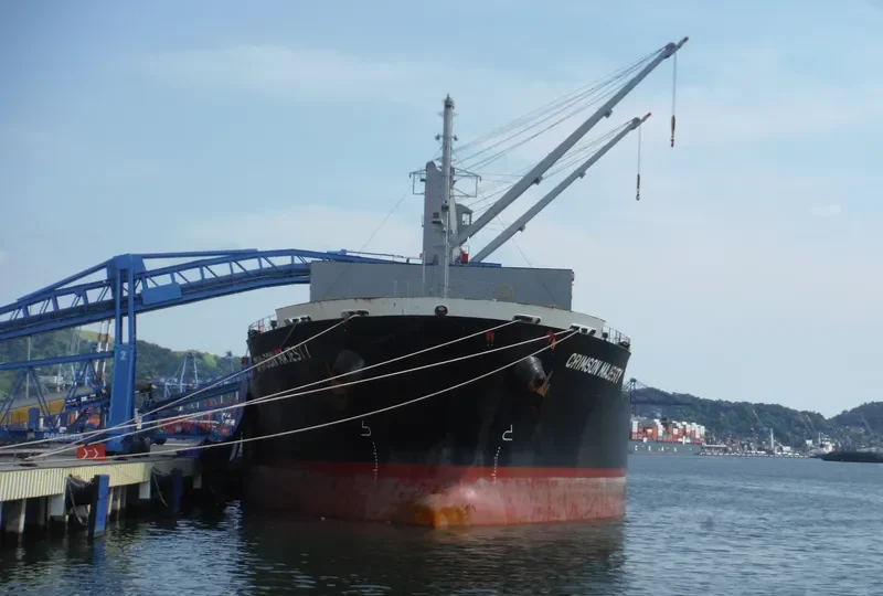 CRIMSON MAJESTY Bulk Carrier IMO 9660059 photo 8
