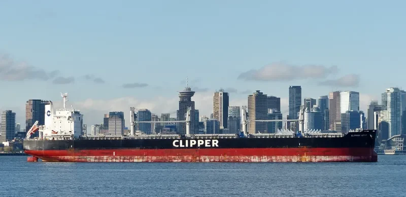EAGLE I STAR Bulk Carrier IMO 9660085 photo 4