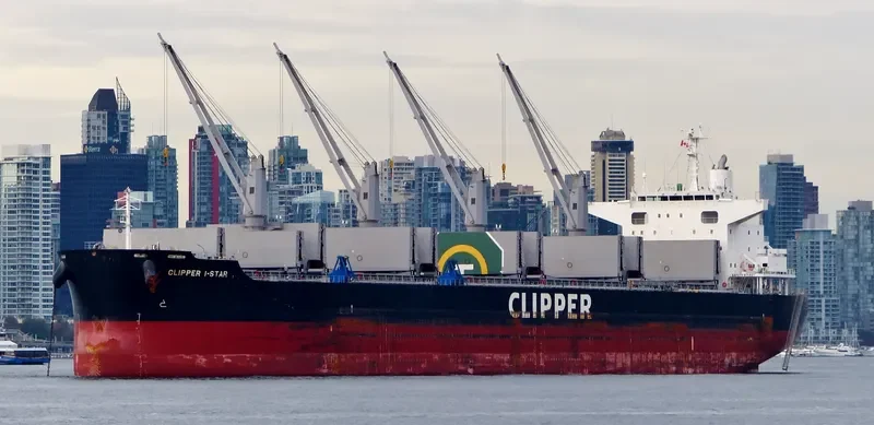 EAGLE I STAR Bulk Carrier IMO 9660085 photo 7