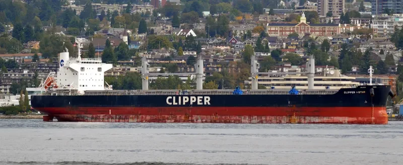 EAGLE I STAR Bulk Carrier IMO 9660085 photo 8