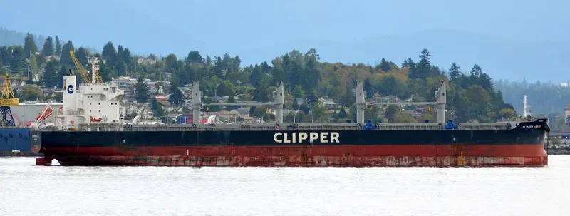 EAGLE I STAR Bulk Carrier IMO 9660085 photo 9