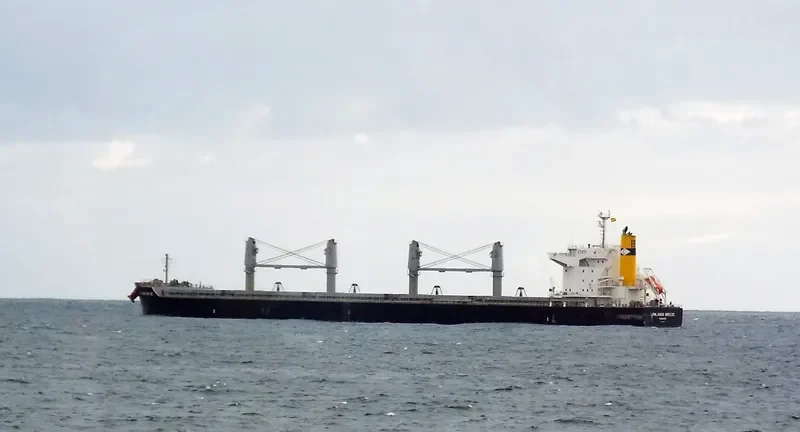 LOWLANDS BREEZE Bulk Carrier IMO 9660097 photo 9