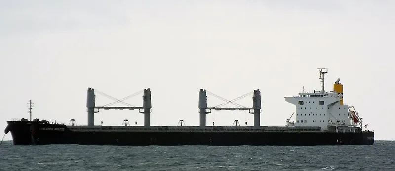 LOWLANDS BREEZE Bulk Carrier IMO 9660097 photo 10