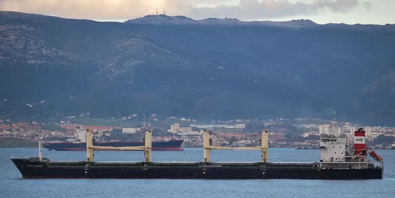 HONGXIN OCEAN Bulk Carrier IMO 9660279 photo 4