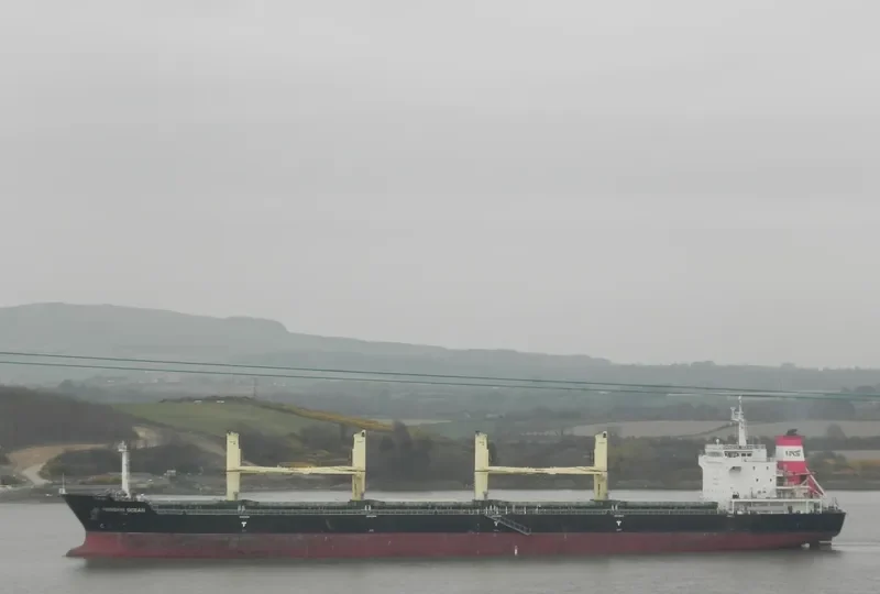 HONGXIN OCEAN Bulk Carrier IMO 9660279 photo 5