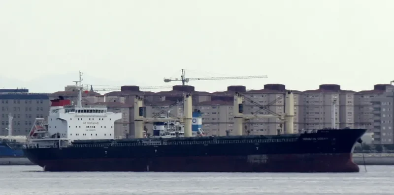 HONGXIN OCEAN Bulk Carrier IMO 9660279 photo 6