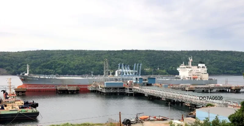 AMAZON VIRTUE Tanker IMO 9660360 photo 8