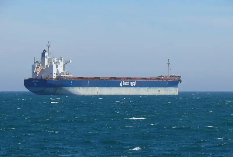 BAHRI ARASCO Bulk Carrier IMO 9660516 photo 11
