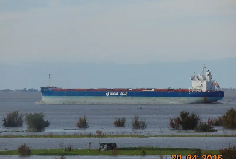 BAHRI GRAIN Bulk Carrier IMO 9660528 photo 2