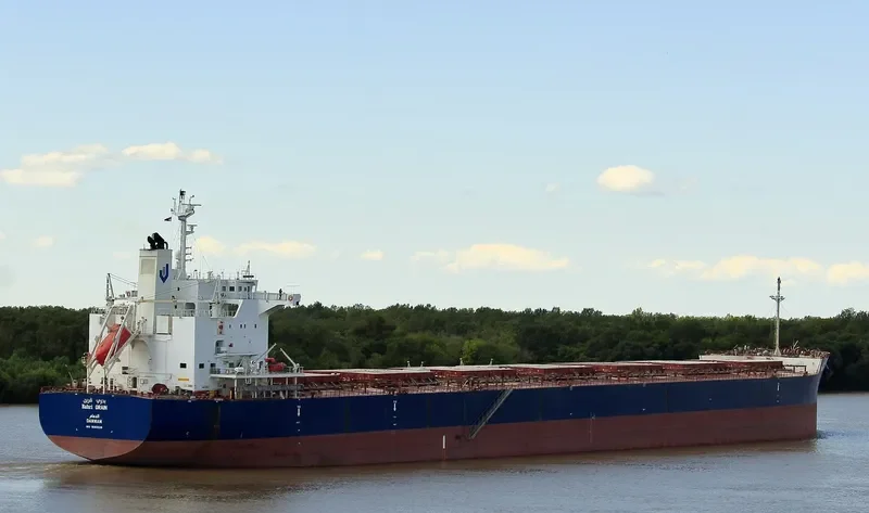 BAHRI GRAIN Bulk Carrier IMO 9660528 photo 14