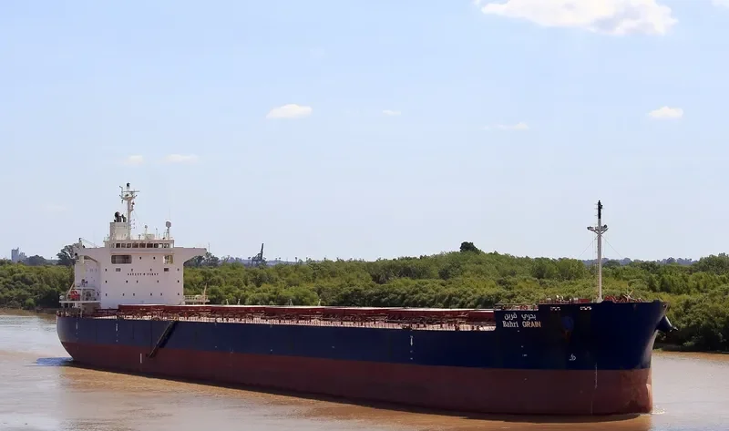 BAHRI GRAIN Bulk Carrier IMO 9660528 photo 22
