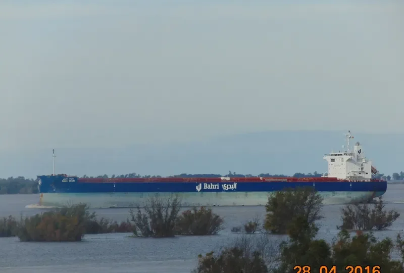 BAHRI GRAIN Bulk Carrier IMO 9660528 photo 26