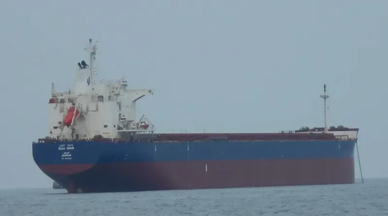 BAHRI GRAIN Bulk Carrier IMO 9660528 photo 29