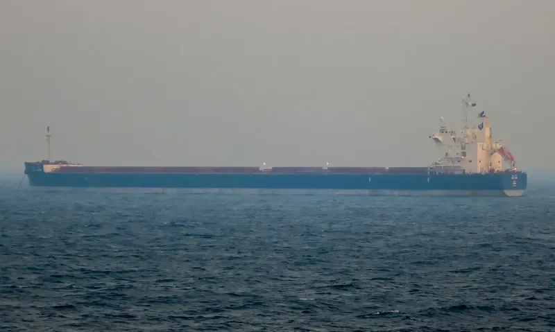 BAHRI GRAIN Bulk Carrier IMO 9660528 photo 65