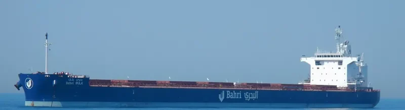 BAHRI BULK Bulk Carrier IMO 9660530 photo 4