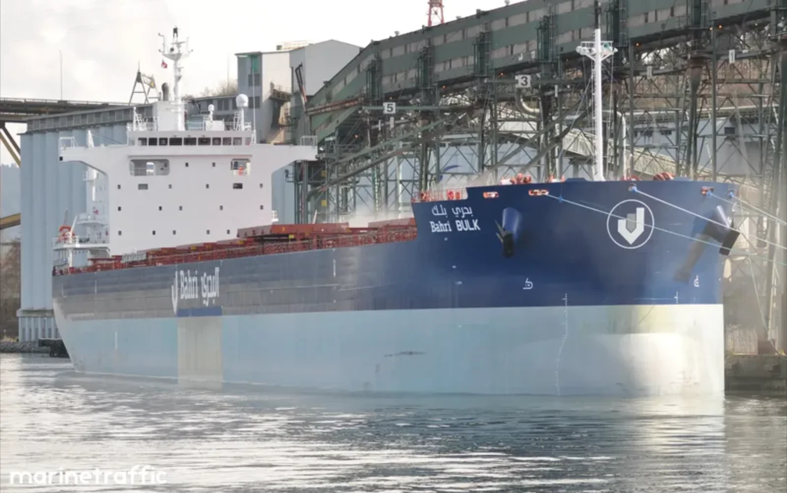 BAHRI BULK Bulk Carrier IMO 9660530 photo 9