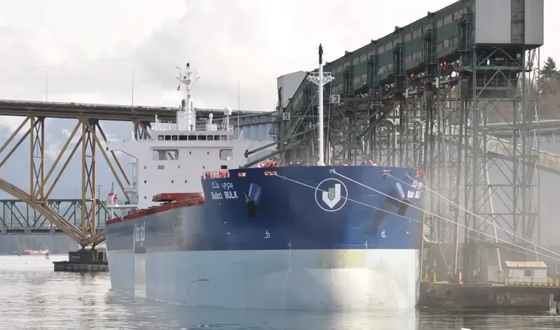 BAHRI BULK Bulk Carrier IMO 9660530 photo 11