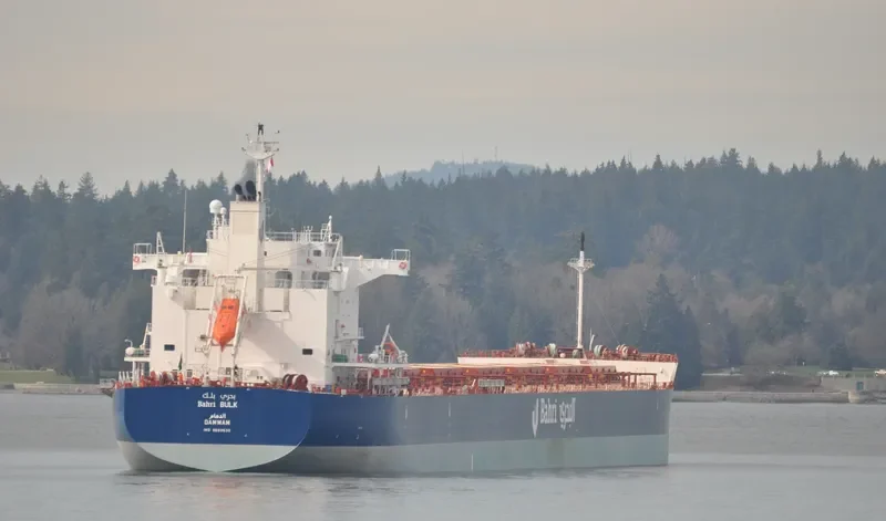 BAHRI BULK Bulk Carrier IMO 9660530 photo 21
