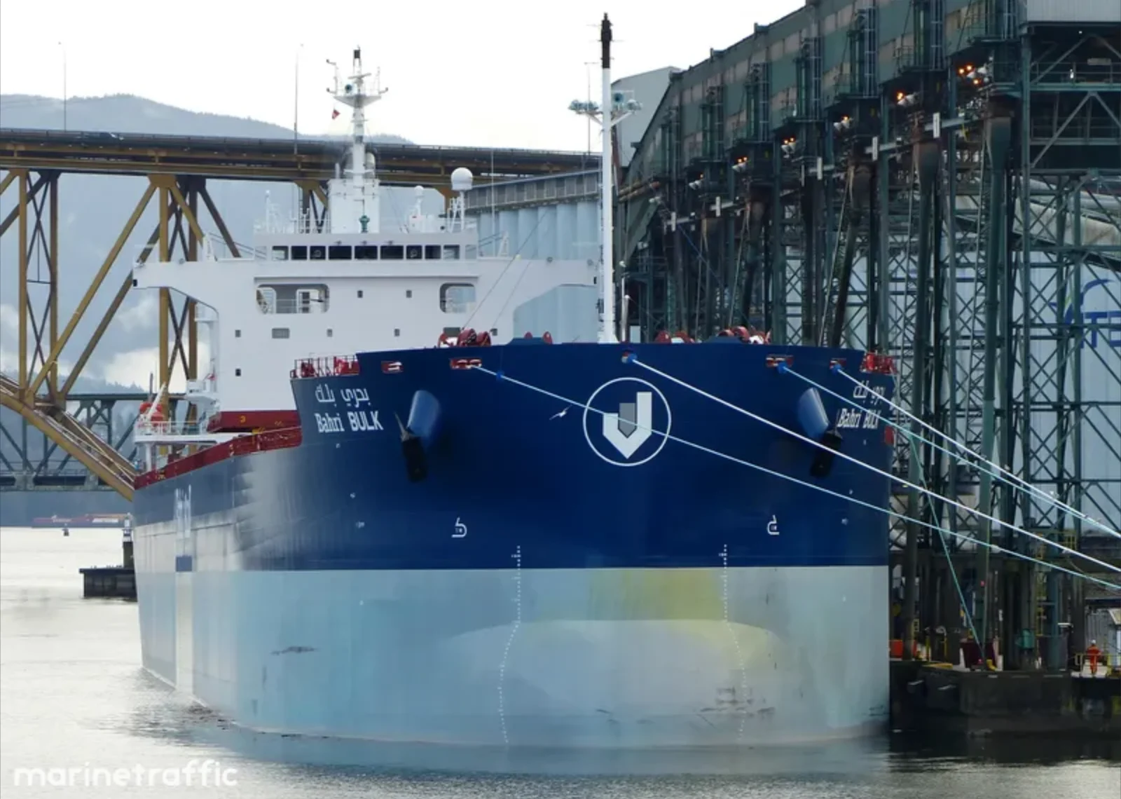 BAHRI BULK Bulk Carrier IMO 9660530 photo 22