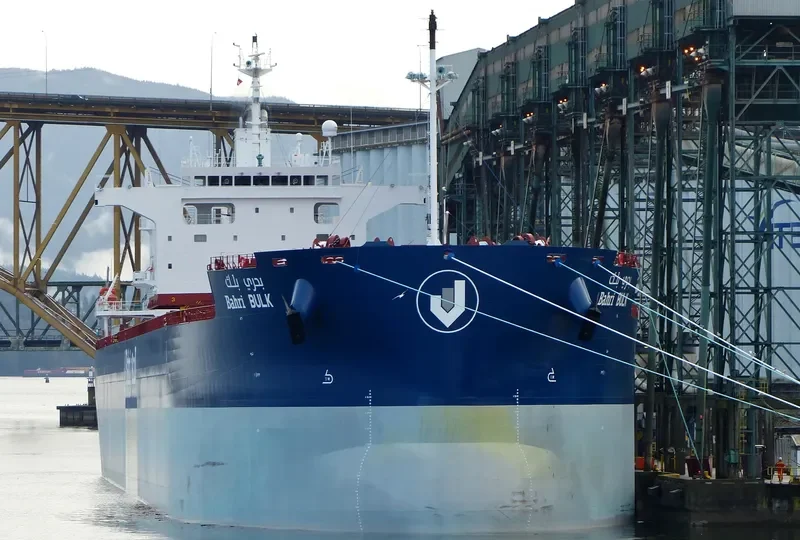BAHRI BULK Bulk Carrier IMO 9660530 photo 52