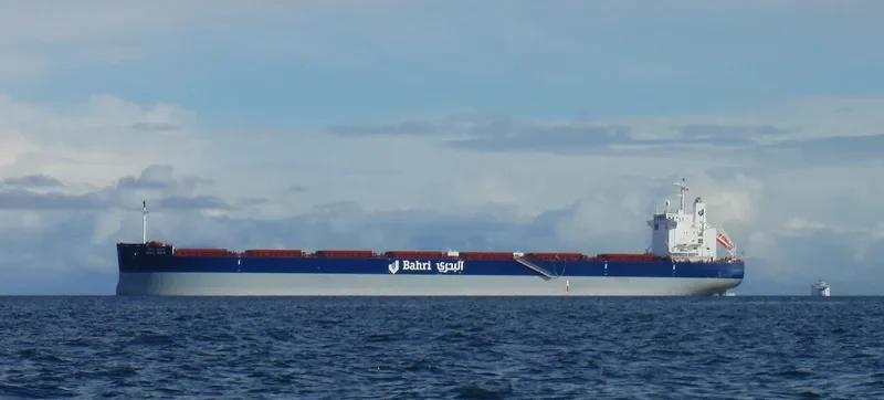 BAHRI BULK Bulk Carrier IMO 9660530 photo 65