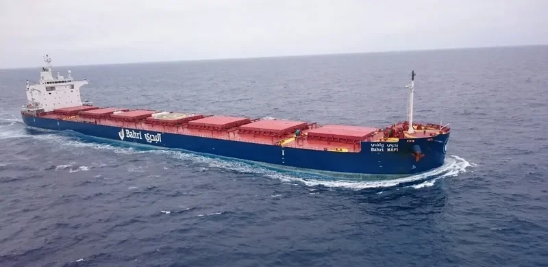 BAHRI WAFI Bulk Carrier IMO 9660542 photo 10