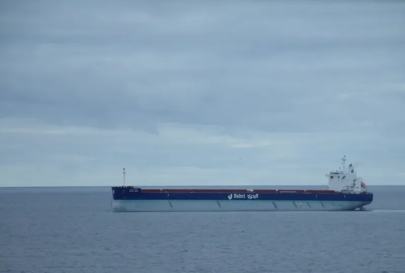 BAHRI WAFI Bulk Carrier IMO 9660542 photo 15