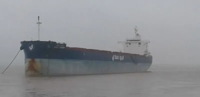 BAHRI TRADER Bulk Carrier IMO 9660554 photo 3