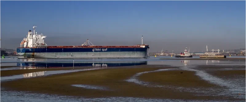 BAHRI TRADER Bulk Carrier IMO 9660554 photo 15