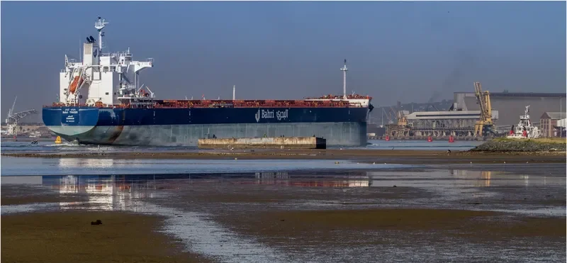 BAHRI TRADER Bulk Carrier IMO 9660554 photo 18
